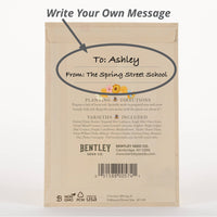 For the Garden | Seed Packets Bee Kind - Pollinator Wildflower Mix Seed Packets
