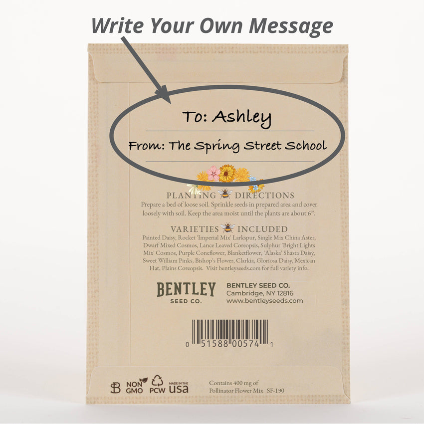 For the Garden | Seed Packets Bee Kind - Pollinator Wildflower Mix Seed Packets