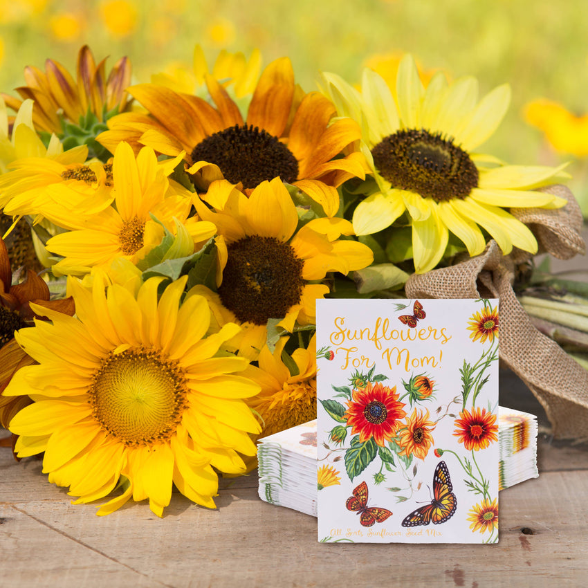 For the Garden | Seed Packets Sunflowers For Mom - All Sorts Sunflower Seed Packets