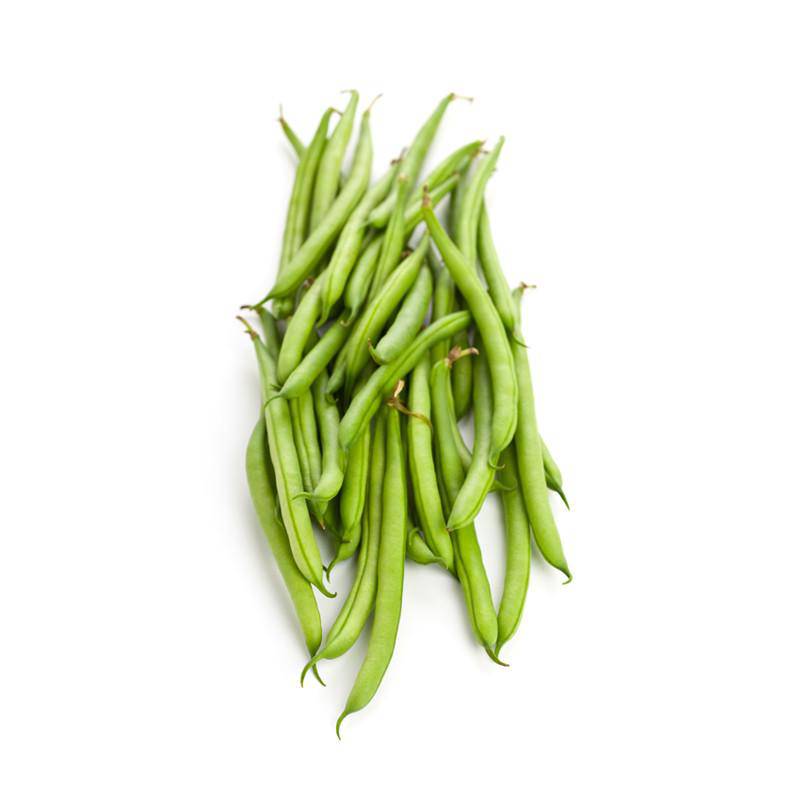 For the Garden | Seed Packets Beans-Kentucky Wonder Pole Bean 1850