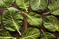 For the Garden | Seed Packets Collards-Southern Giant 1871