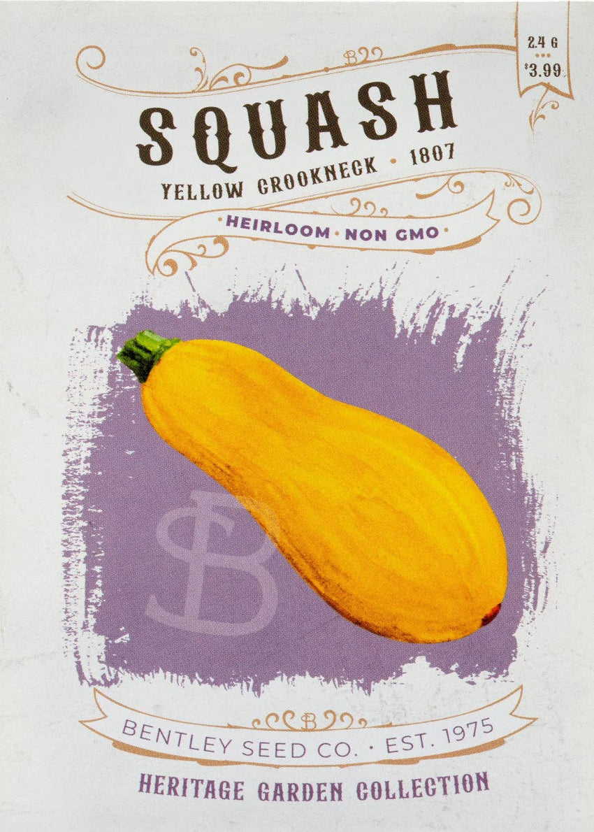 For the Garden | Seed Packets Squash-Yellow Crockneck 1807