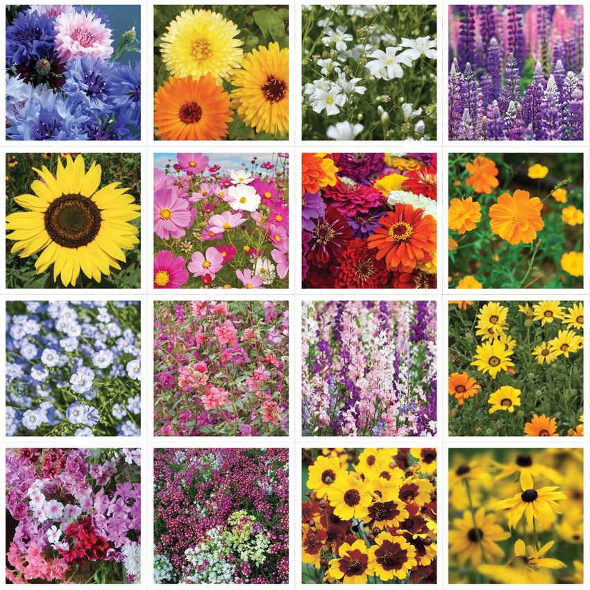 For the Garden | Seed Packets Make Everyday Earth Day - Pollinator Flower Mix Seed Packets