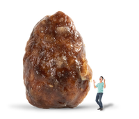 Salted Caramel Churro Inspired Almonds (4.5oz)