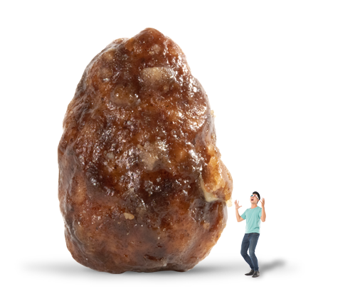 Salted Caramel Churro Inspired Almonds (4.5oz)