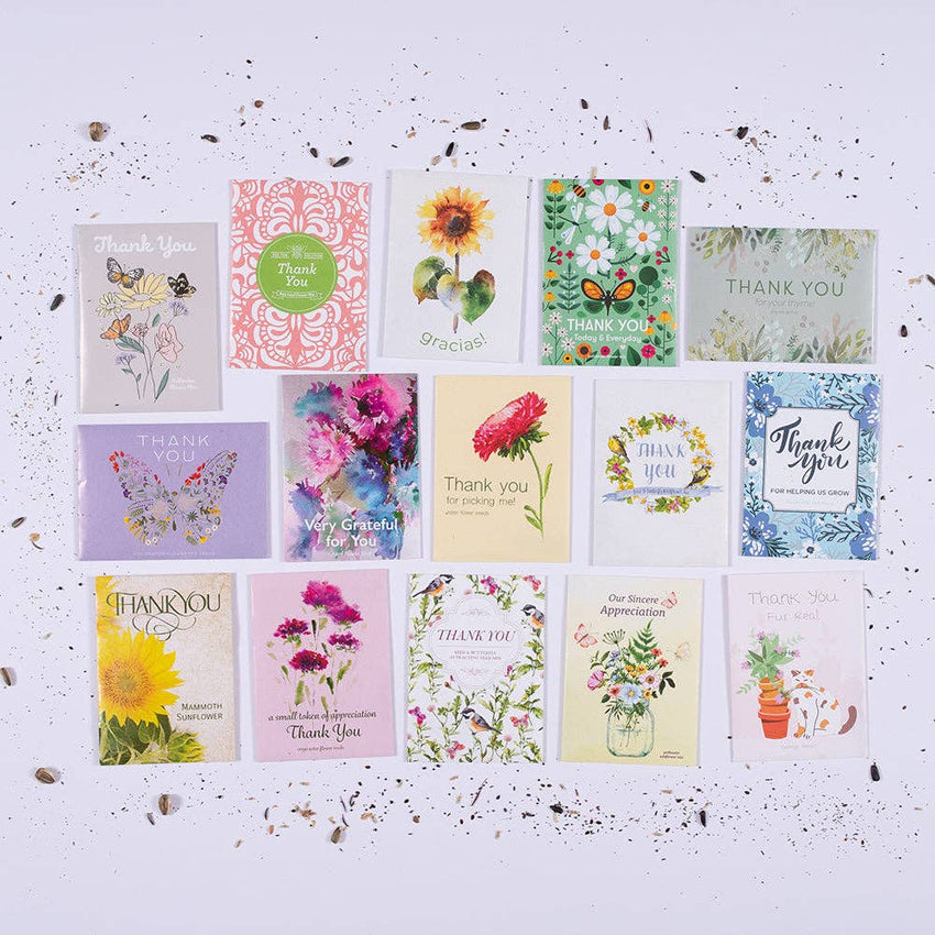 Thank You Today Everyday - Pollinator Flower Mix Seed Packets