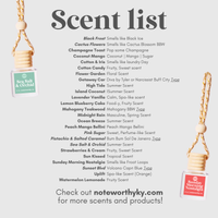 Car Diffusers | Spring & Summer Scents: Individual Mylar Bag / Peach Mango Bellini