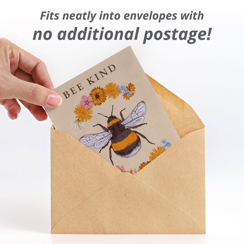 For the Garden | Seed Packets Bee Kind - Pollinator Wildflower Mix Seed Packets