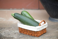 For the Garden | Seed Packets Zucchini-Black Beauty Squash 1957