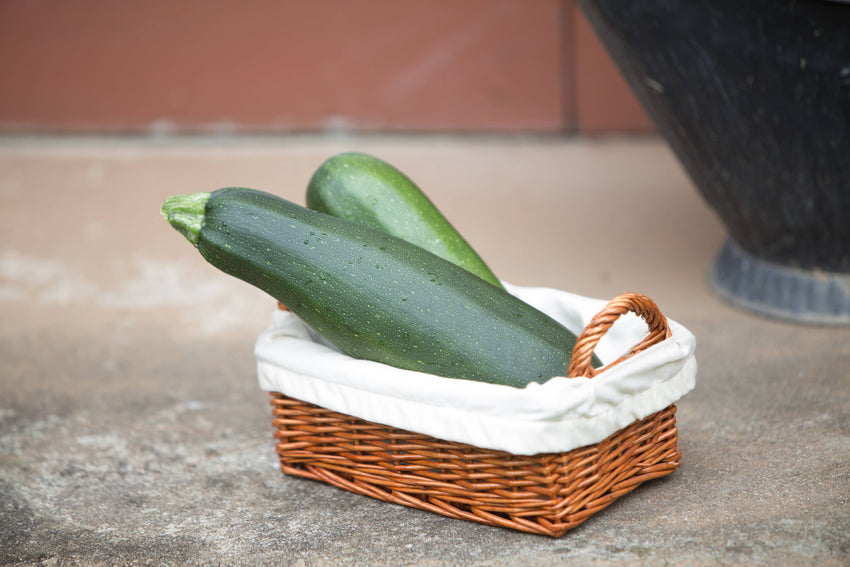 For the Garden | Seed Packets Zucchini-Black Beauty Squash 1957