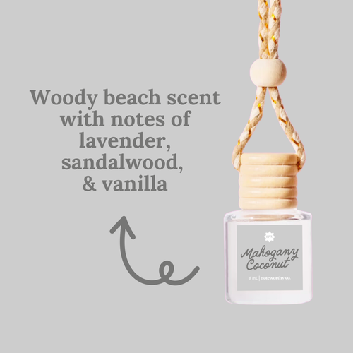 Car Essential Oil Diffusers | Spring & Summer Scents