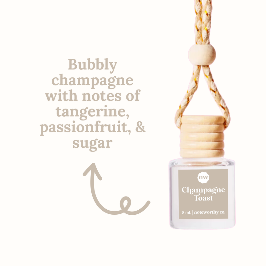 Car Diffusers | Spring & Summer Scents: Individual Mylar Bag / Peach Mango Bellini