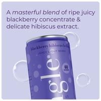 Blackberry Hibiscus Bellini