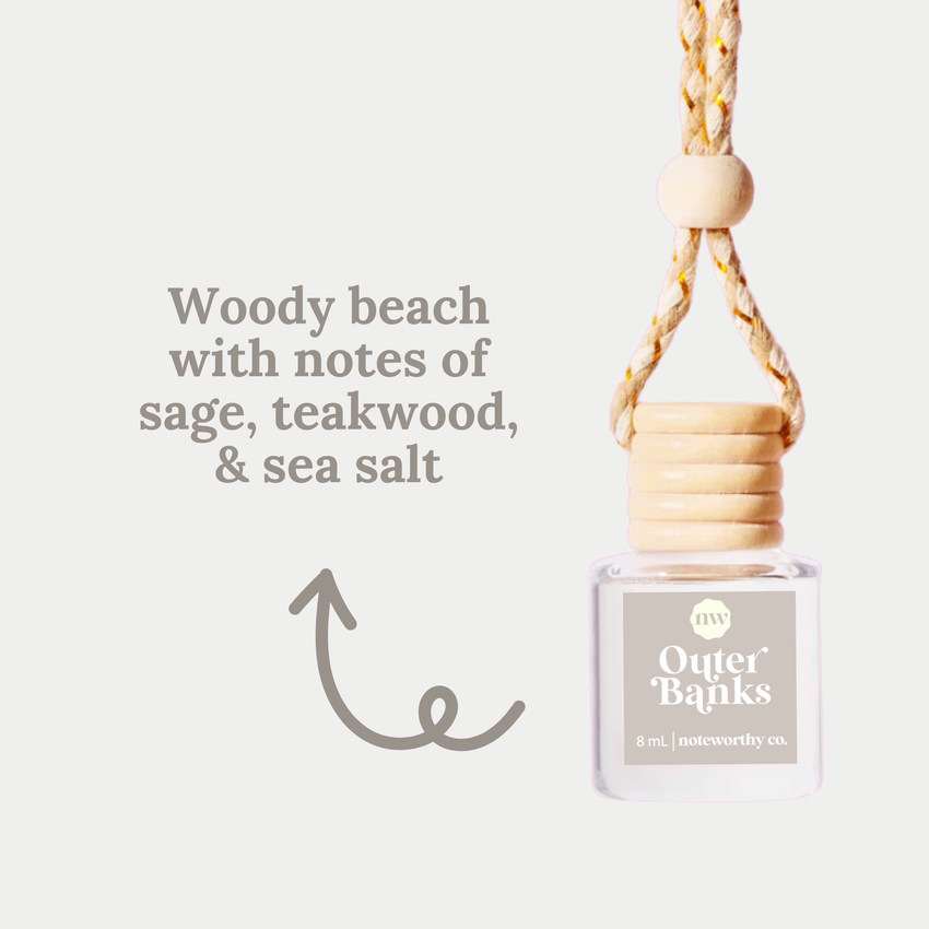 Car Diffusers | Spring & Summer Scents: Individual Mylar Bag / Peach Mango Bellini