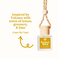 Car Diffusers | Spring & Summer Scents: Individual Mylar Bag / Peach Mango Bellini