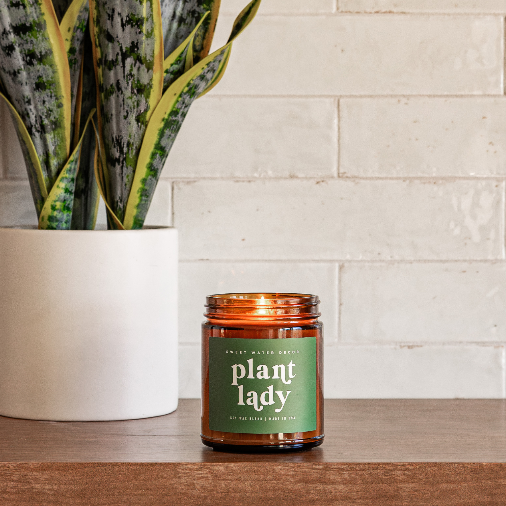 LIMITED EDITION Plant Lady 9 oz Soy Candle