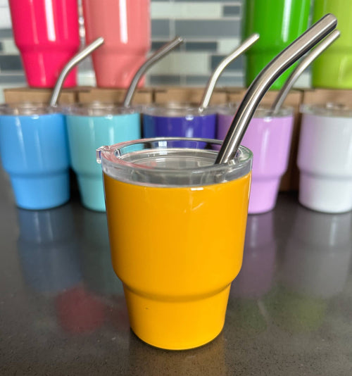 Tumbler Mini Shot Glass with Metal Straw and Lid