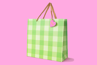 Gift Bags - Green Gingham - Large