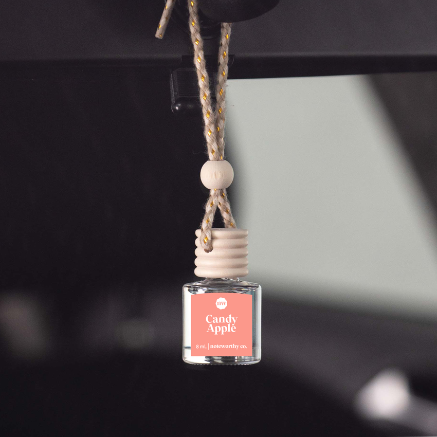 Car Diffusers | Holiday Scents