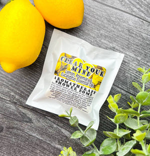 Old Town - Shower Steamers - Great stocking stuffer or gift basket item!
