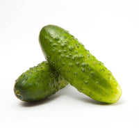 For the Garden | Seed Packets Cucumber-Boston Pickling 1887