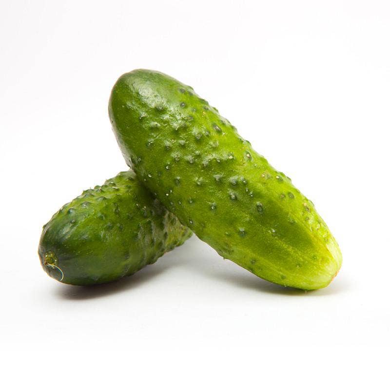 For the Garden | Seed Packets Cucumber-Boston Pickling 1887