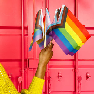 Progress Stick Flags for Pride Parades, Decorations or Anytime!