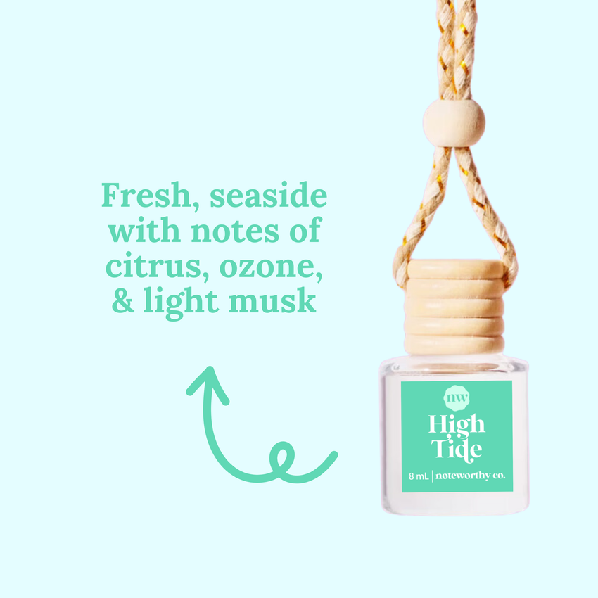 Car Diffusers | Spring & Summer Scents: Individual Mylar Bag / Peach Mango Bellini