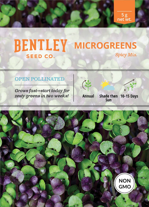 For the Garden | Seed Packets Microgreens, Spicy Mix Seed Packets