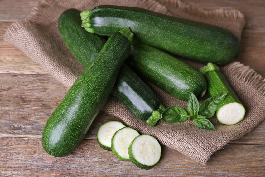 For the Garden | Seed Packets Zucchini-Black Beauty Squash 1957