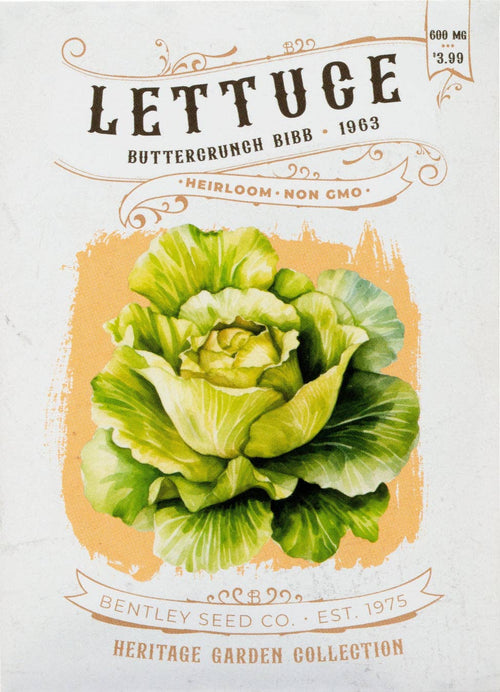 For the Garden | Seed Packets Lettuce-Buttercrunch Bib 1963