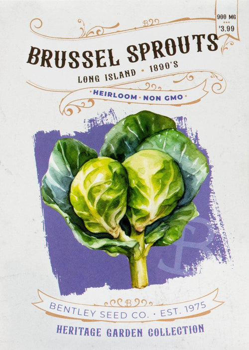 For the Garden | Seed Packets Brussel Sprouts-Long Island 1890's
