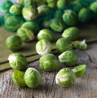 For the Garden | Seed Packets Brussel Sprouts-Long Island 1890's