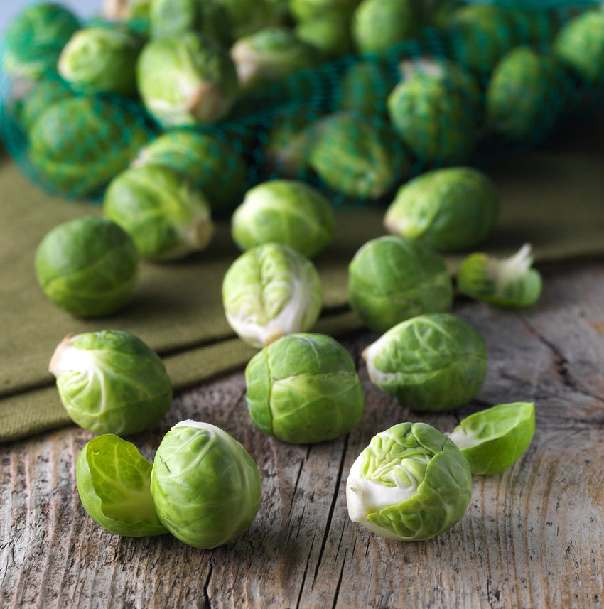 For the Garden | Seed Packets Brussel Sprouts-Long Island 1890's