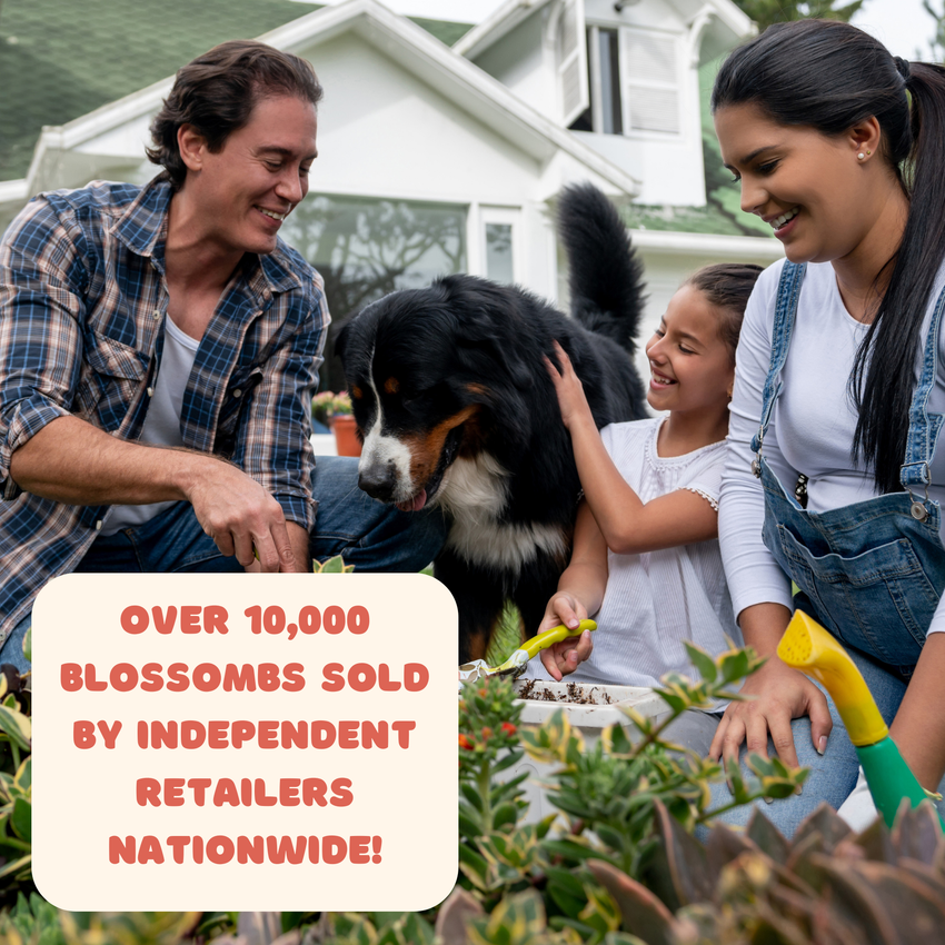 Mini Wildflower Seed Box – Flowers For You Gift Set (4)