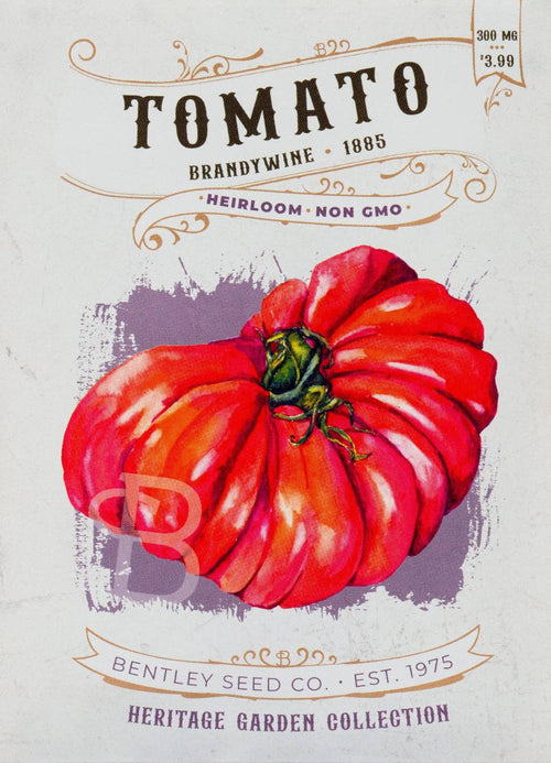 For the Garden | Seed Packets Tomato-Brandywine 1885