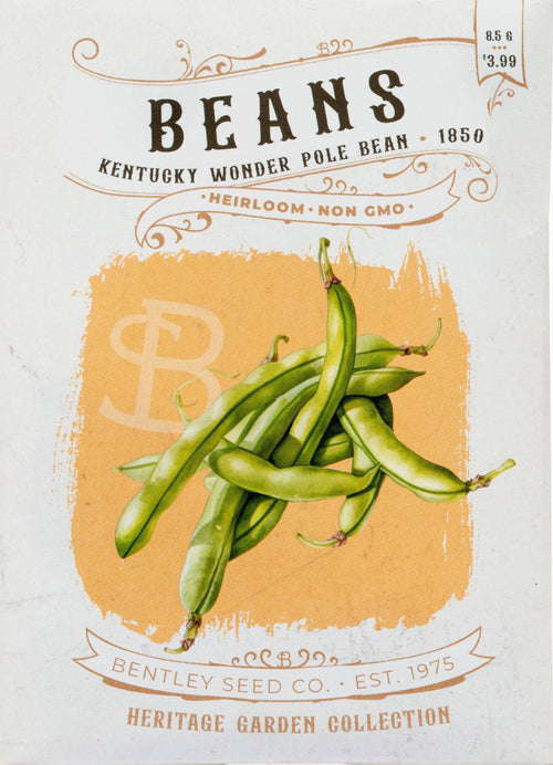 For the Garden | Seed Packets Beans-Kentucky Wonder Pole Bean 1850