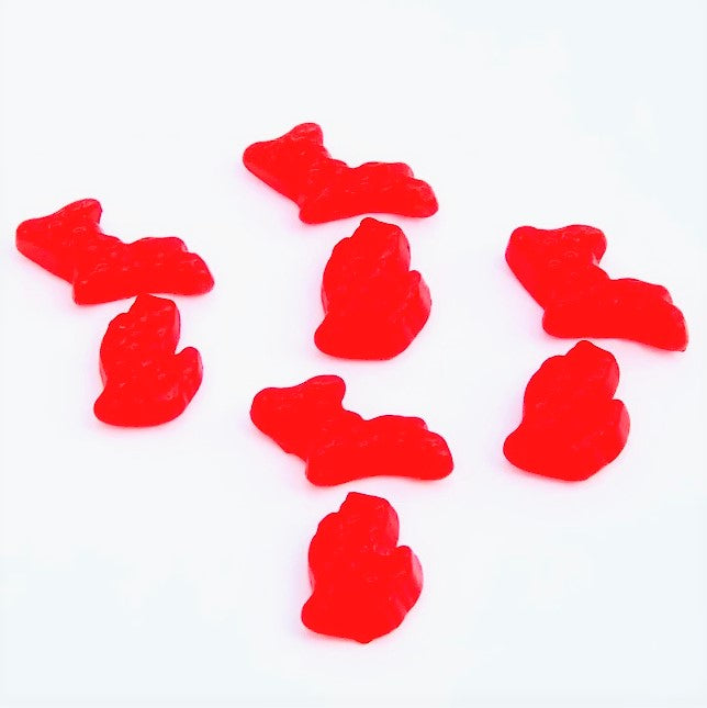 Michi-Cinnamons Gummies Candy - Michigan Shaped Gummy Candy