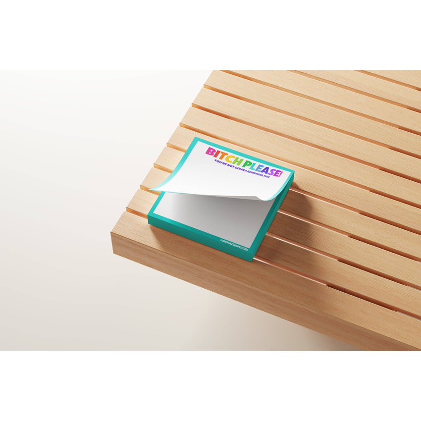 Sticky Notes Post Its / Bitch Please / Funny, snarky, vulgar