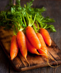 For the Garden | Seed Packets Carrot-Nantes 1870