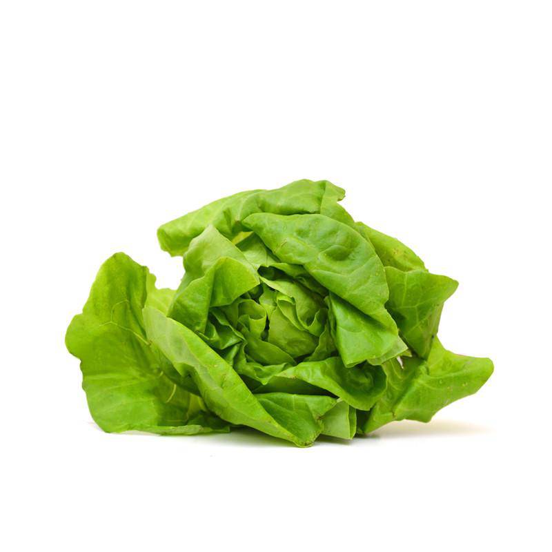 For the Garden | Seed Packets Lettuce-Buttercrunch Bib 1963