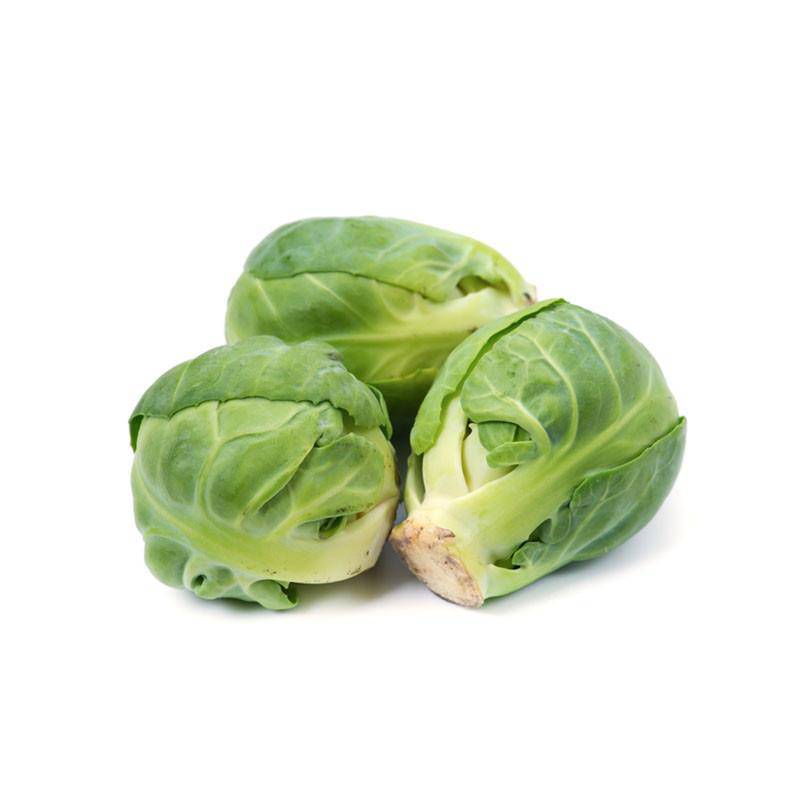 For the Garden | Seed Packets Brussel Sprouts-Long Island 1890's