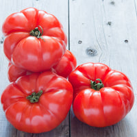 For the Garden | Seed Packets Tomato-Beefsteak 1885