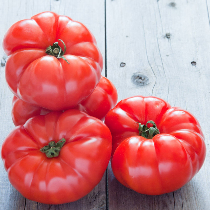 For the Garden | Seed Packets Tomato-Beefsteak 1885