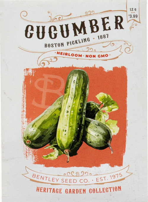 For the Garden | Seed Packets Cucumber-Boston Pickling 1887