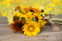 For the Garden | Seed Packets Sunflowers For Mom - All Sorts Sunflower Seed Packets