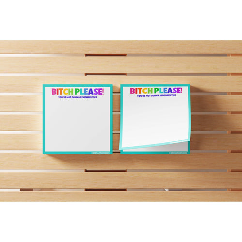 Sticky Notes Post Its / Bitch Please / Funny, snarky, vulgar