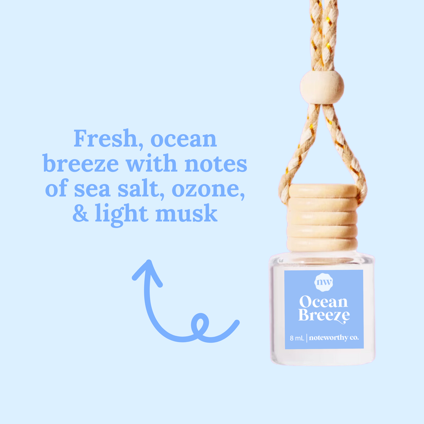 Car Diffusers | Spring & Summer Scents: Individual Mylar Bag / Peach Mango Bellini