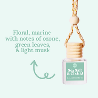 Car Diffusers | Spring & Summer Scents: Individual Mylar Bag / Peach Mango Bellini