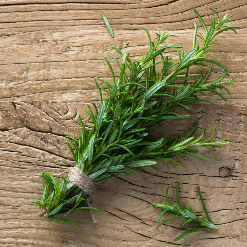 For the Garden | Seed Packets Rosemary-500 BC